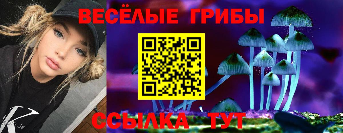Галлюциногенные грибы Psilocybine cubensis Ялуторовск