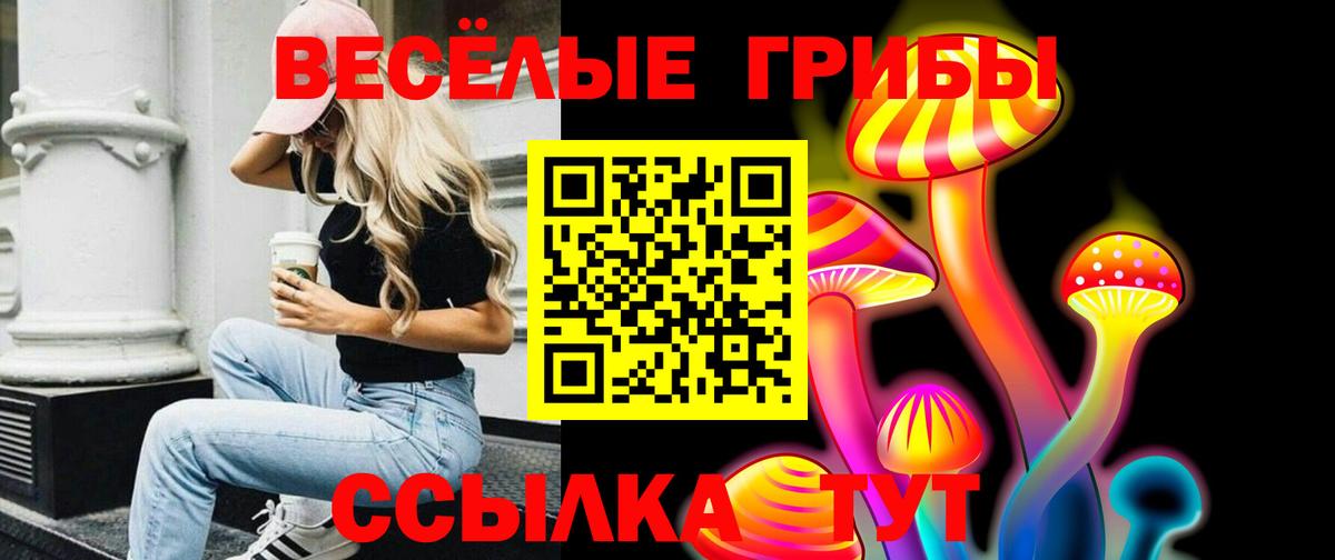 Псилоцибиновые грибы Psilocybine cubensis  Вход с VPN  Галлюциногенные грибы Psilocybine cubensis  Ялуторовск 